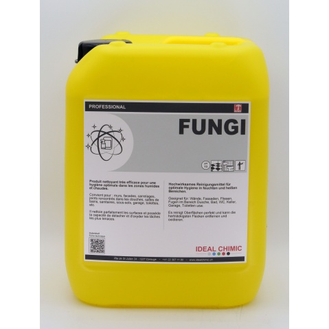 FUNGI