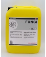 FUNGI